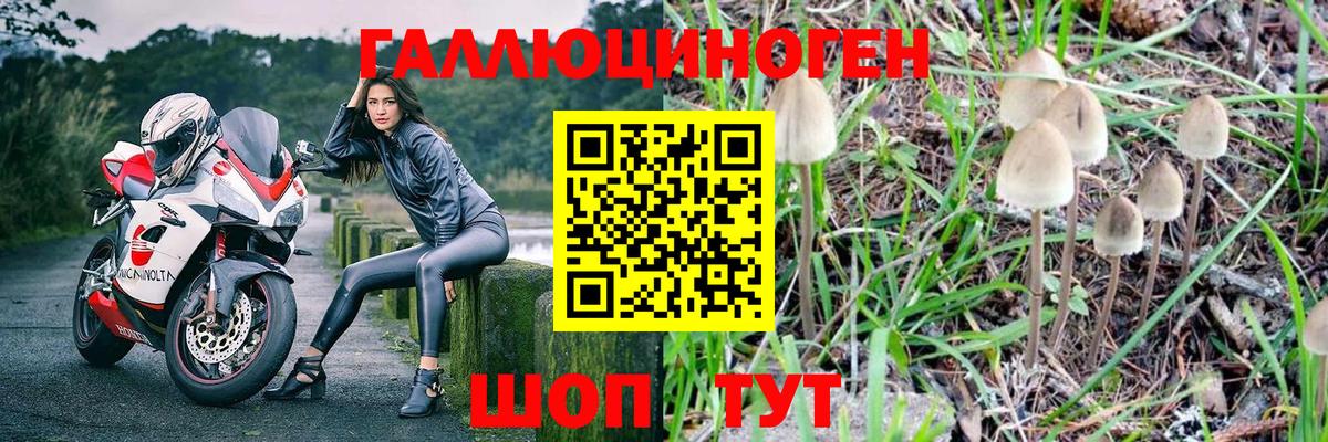 Оренбург  Псилоцибиновые грибы ЛСД  Вход с VPN 